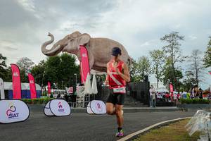 BIB: 
                            <button type="button" onclick="openModal(26528466)" class="btn btn-primary btn-sm float-right btn-popup" data-toggle="modal" data-target=".modal-high-quality">
                        <i class="fas fa-shopping-cart"></i> Add to Cart
                    </button>
                                            <button type="button" onclick="isThisMe(26528466, true)" class="btn btn-success btn-sm float-right btn-popup btn-isme hidden" data-toggle="tooltip" data-placement="bottom" title="นี่คือรูปของคุณใช่ไหม คลิกที่นี่เพื่อเอาเข้าอัลบั้ม">
                        <i class="fas fa-plus"></i> Add to album
                    </button>
                    <button type="button" onclick="isThisMe(26528466, false)" class="btn btn-warning btn-sm float-right btn-popup btn-isnotme hidden">
                        <i class="fas fa-ban"></i> Remove from album
                    </button>